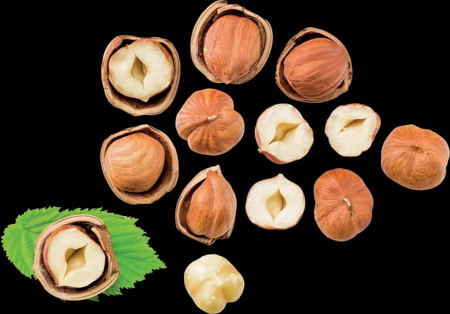 فندق، درسته و نیم‌شده، با برگ فندق