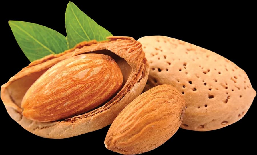 بادام در پوست، مغز بادام و برگ درخت بادام