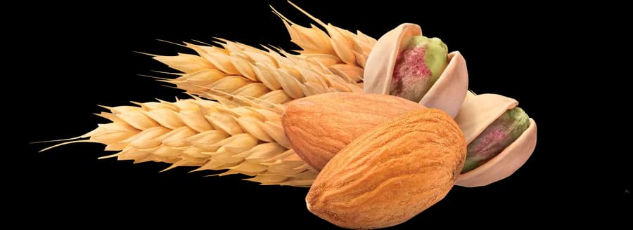 خوشهی گندم، بادام درختی و پسته